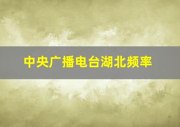 中央广播电台湖北频率