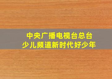 中央广播电视台总台少儿频道新时代好少年