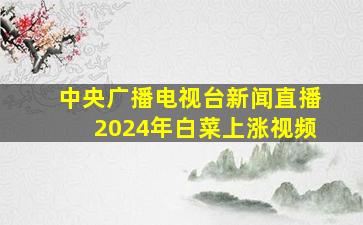 中央广播电视台新闻直播2024年白菜上涨视频