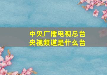 中央广播电视总台央视频道是什么台