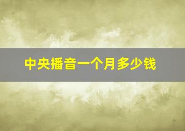 中央播音一个月多少钱