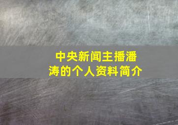 中央新闻主播潘涛的个人资料简介