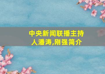 中央新闻联播主持人潘涛,刚强简介