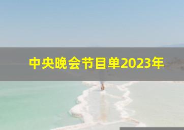 中央晚会节目单2023年