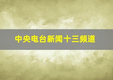 中央电台新闻十三频道