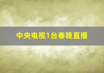 中央电视1台春晚直播