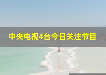 中央电视4台今日关注节目