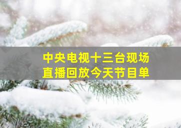 中央电视十三台现场直播回放今天节目单