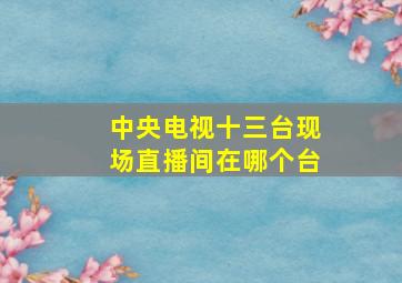 中央电视十三台现场直播间在哪个台