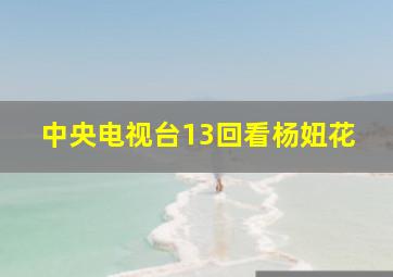 中央电视台13回看杨妞花