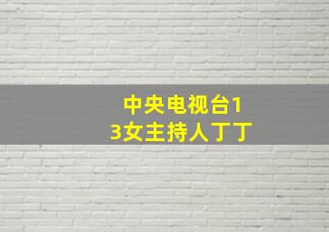 中央电视台13女主持人丁丁