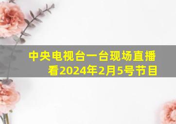 中央电视台一台现场直播看2024年2月5号节目