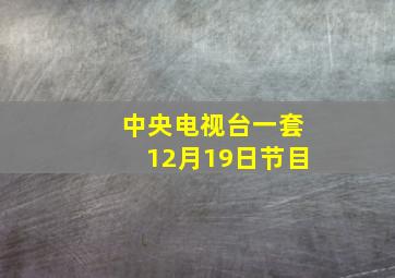 中央电视台一套12月19日节目