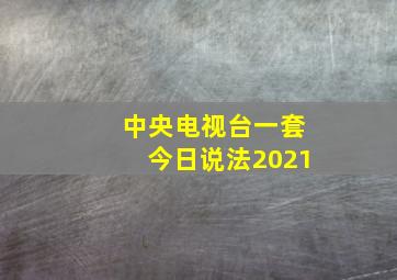 中央电视台一套今日说法2021