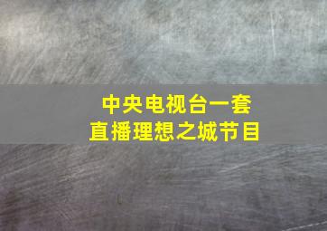 中央电视台一套直播理想之城节目