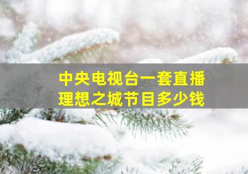 中央电视台一套直播理想之城节目多少钱