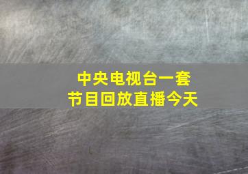 中央电视台一套节目回放直播今天