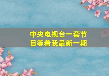 中央电视台一套节目等着我最新一期