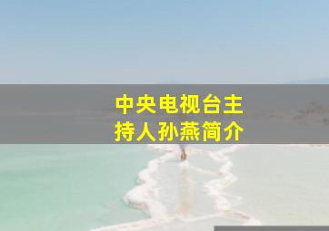 中央电视台主持人孙燕简介