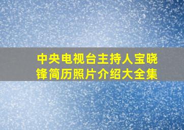 中央电视台主持人宝晓锋简历照片介绍大全集