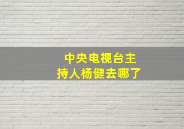 中央电视台主持人杨健去哪了