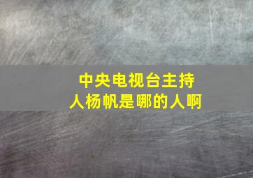 中央电视台主持人杨帆是哪的人啊