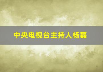 中央电视台主持人杨磊