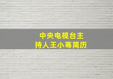 中央电视台主持人王小骞简历