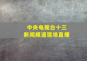 中央电视台十三新闻频道现场直播