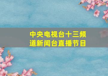 中央电视台十三频道新闻台直播节目