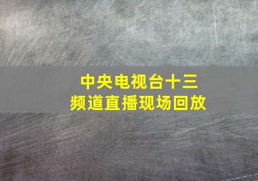 中央电视台十三频道直播现场回放