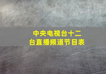 中央电视台十二台直播频道节目表