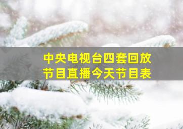 中央电视台四套回放节目直播今天节目表