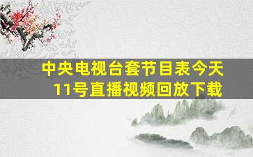 中央电视台套节目表今天11号直播视频回放下载