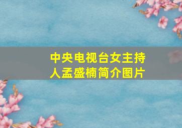 中央电视台女主持人孟盛楠简介图片