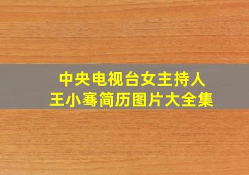 中央电视台女主持人王小骞简历图片大全集