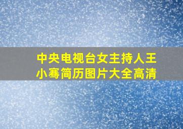 中央电视台女主持人王小骞简历图片大全高清