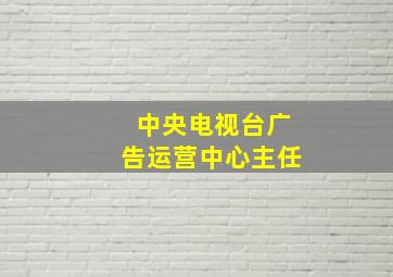 中央电视台广告运营中心主任