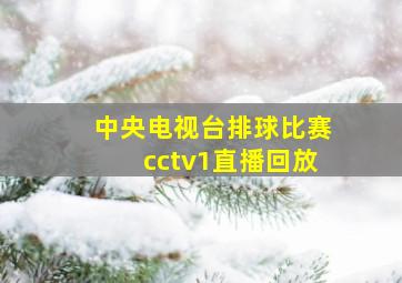 中央电视台排球比赛cctv1直播回放