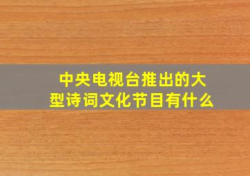 中央电视台推出的大型诗词文化节目有什么