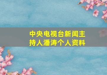 中央电视台新闻主持人潘涛个人资料