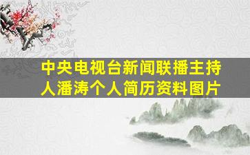 中央电视台新闻联播主持人潘涛个人简历资料图片