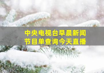 中央电视台早晨新闻节目单查询今天直播