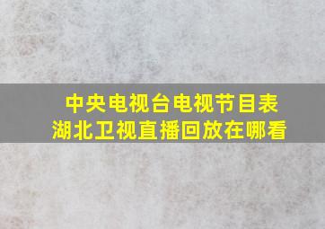 中央电视台电视节目表湖北卫视直播回放在哪看