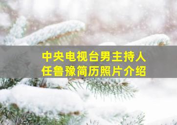 中央电视台男主持人任鲁豫简历照片介绍