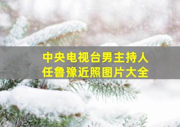 中央电视台男主持人任鲁豫近照图片大全