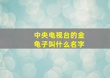 中央电视台的金龟子叫什么名字