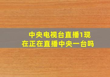 中央电视台直播1现在正在直播中央一台吗