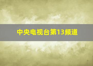 中央电视台第13频道