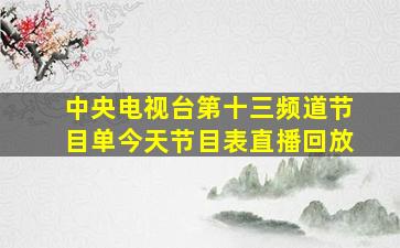 中央电视台第十三频道节目单今天节目表直播回放